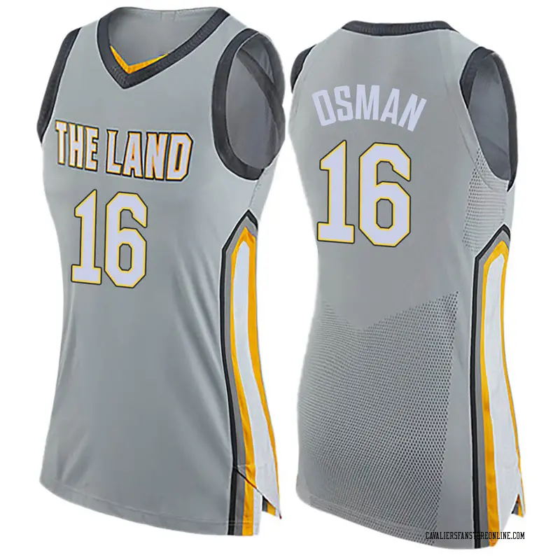 Nike Cleveland Cavaliers Swingman Gray 