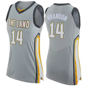 Nike Cleveland Cavaliers Swingman Gray Terrell Brandon Jersey - City Edition - Women's